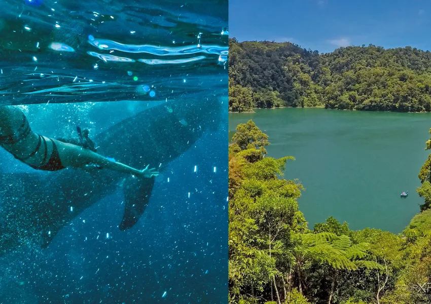 Tourxp Oslob Whale Sharks &Amp; Sibulan Twin Lakes Xplore