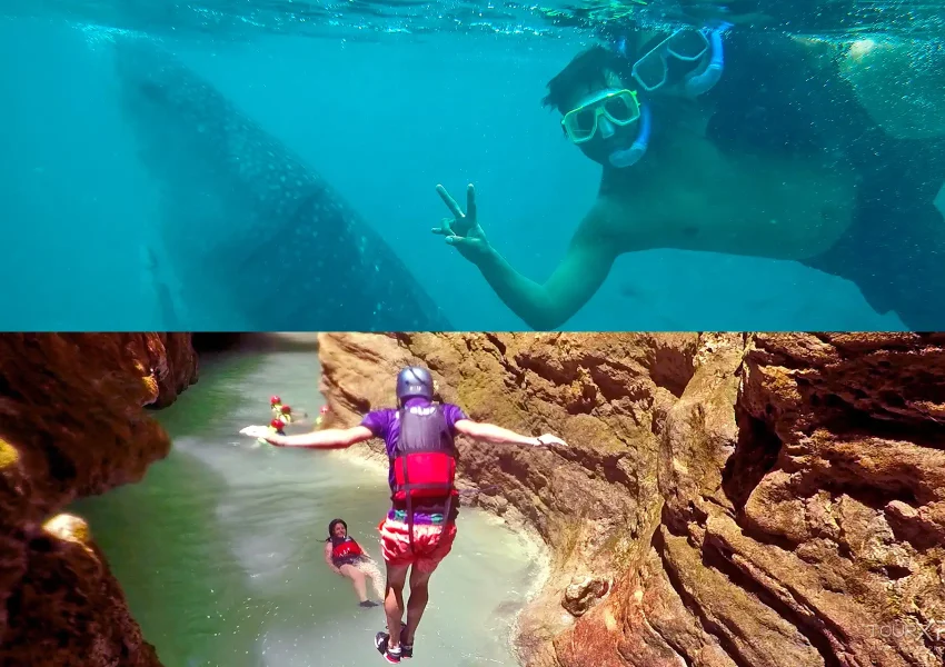 Tourxp Oslob Whale Sharks &Amp; Kawasan Canyoneering Xplore