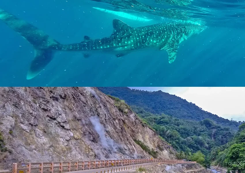 Tourxp Oslob Whale Sharks &Amp; Valencia Xplore