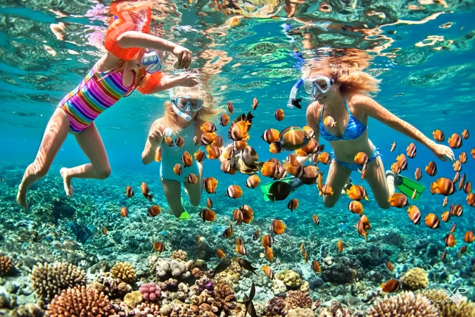 Colorful coral reefs at Apo Island Marine Sanctuary in Negros Oriental