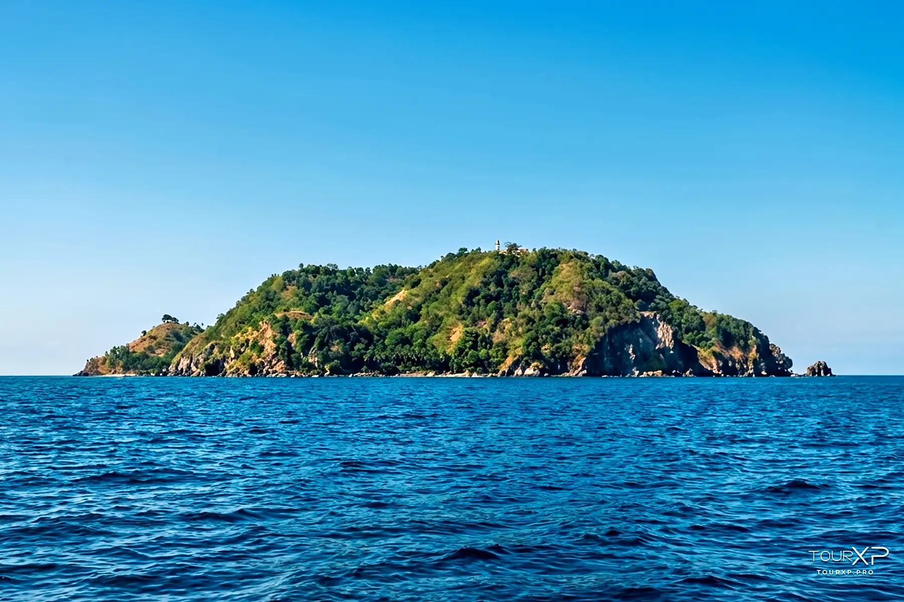 TourXP sea turtles at Apo Island