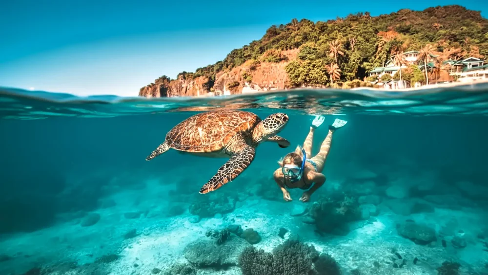 Apo Island Guided Snorkeling Tour Guest Tourxp- Tourxp Enjoy Your Philippine Vacation! Tourxp Guests Snorkeling With Sea Turtles At Apo Island