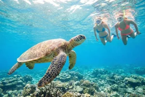 Apo Island Xplore