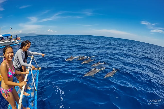 Dolphin watching boat tour in Bais City Negros Oriental