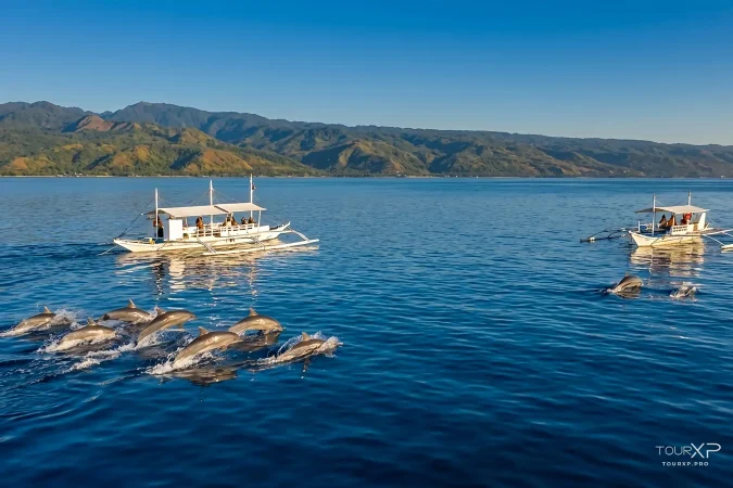 Sunrise dolphin watching tour in Bais City