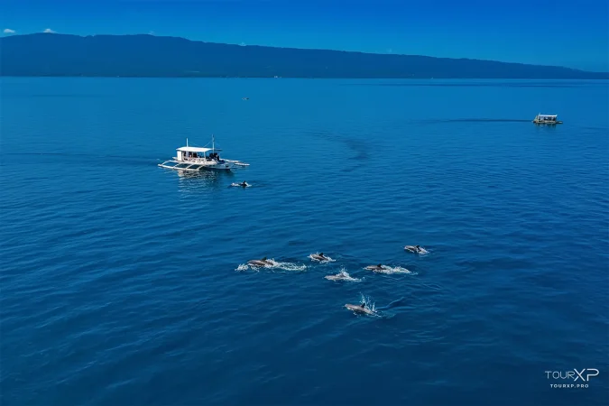 Early morning dolphin watching in Negros Oriental