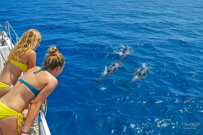 Bais dolphin watching and Manjuyod White Sand Bar tour