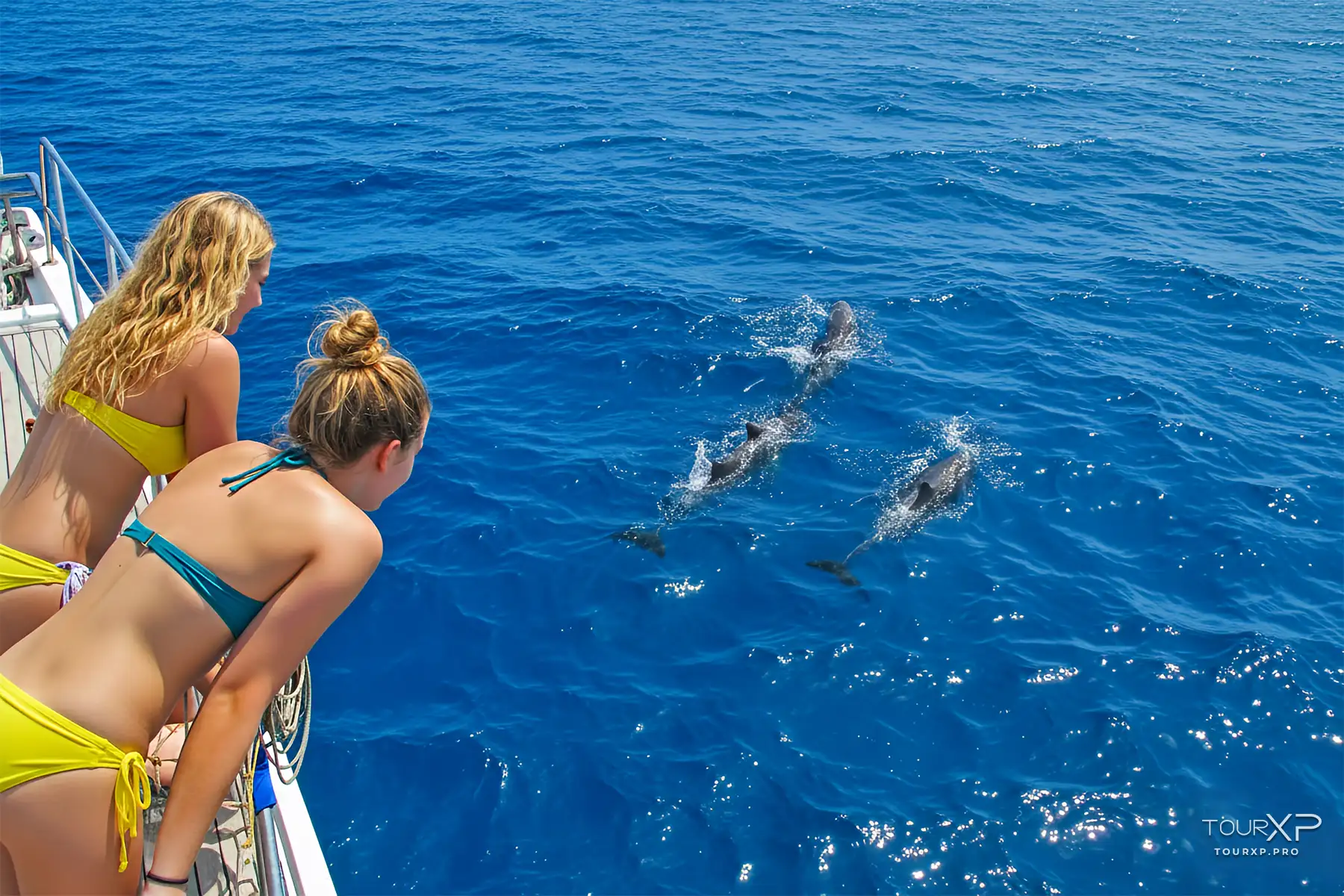 Tourxp Bais Dolphin Watching Manjuyod White Sandbar Negros Oriental Og- Tourxp Enjoy Your Philippine Vacation! Bais Dolphin Watching And Manjuyod White Sand Bar Tour