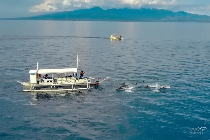 Island hopping experience at Manjuyod White Sand Bar