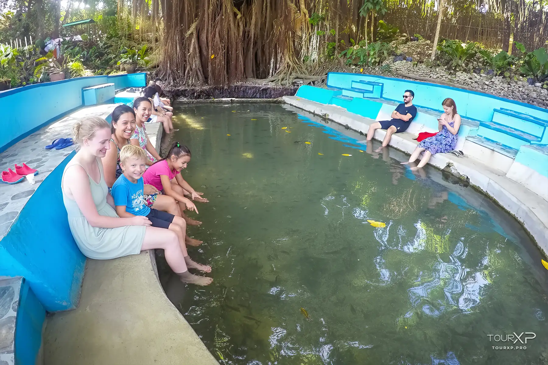 Centennial Balete Tree Siquijor TourXP
