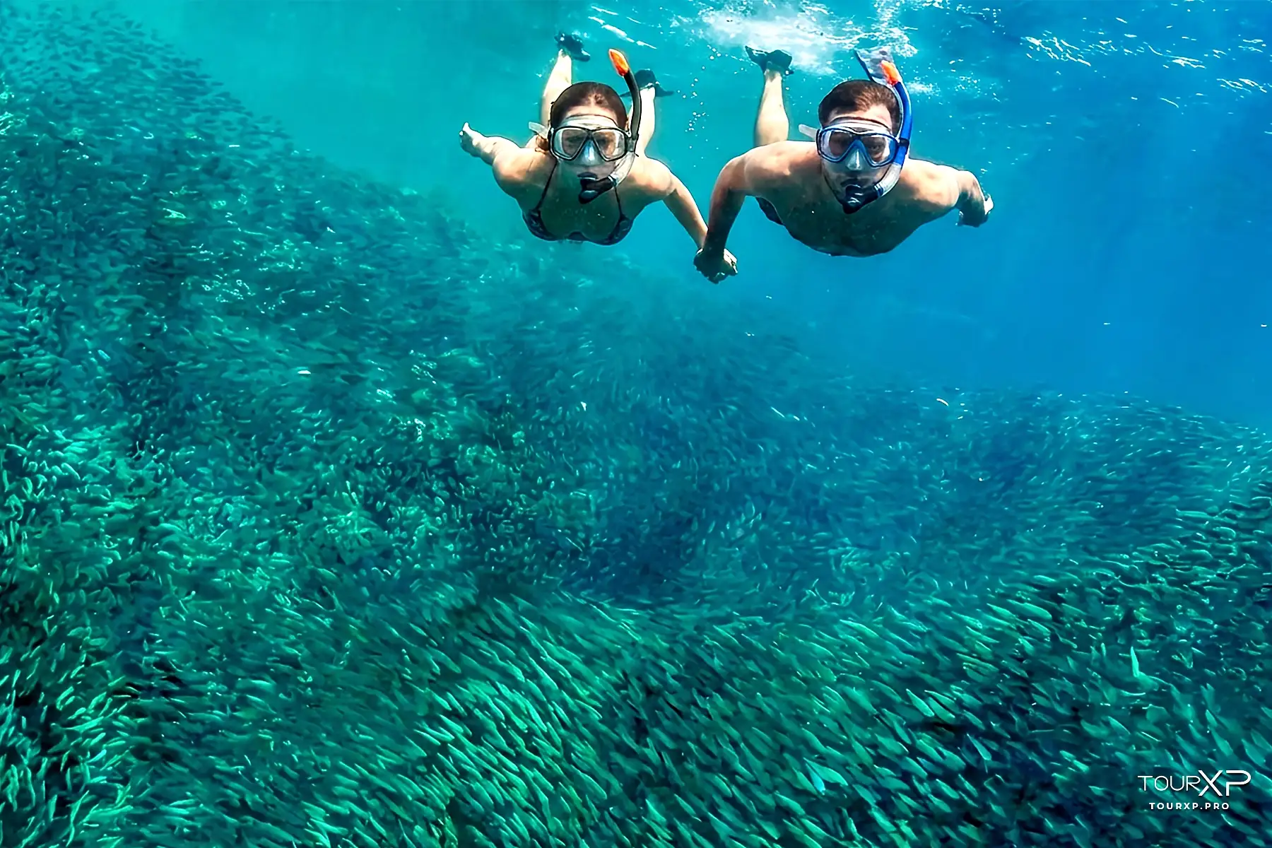 Moalboal sardines run and Inambakan Waterfalls Cebu tour